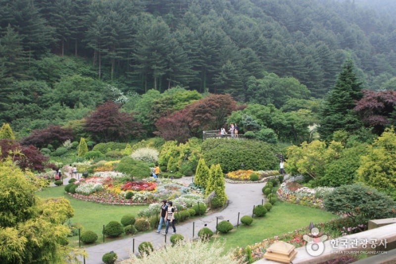 The Garden of Morning Calm  (27/54)