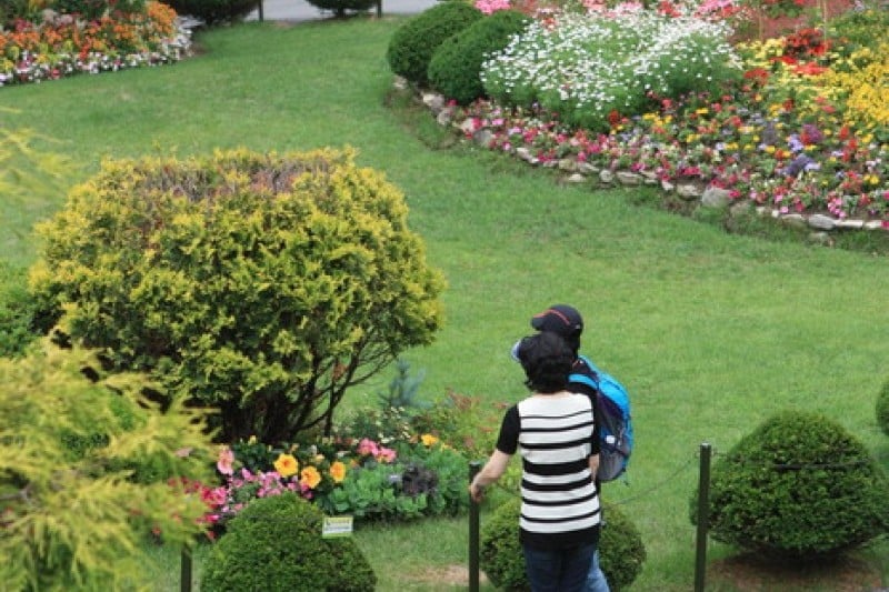 The Garden of Morning Calm  (28/54)