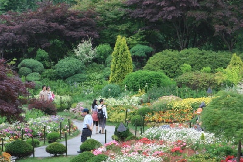 The Garden of Morning Calm  (29/54)