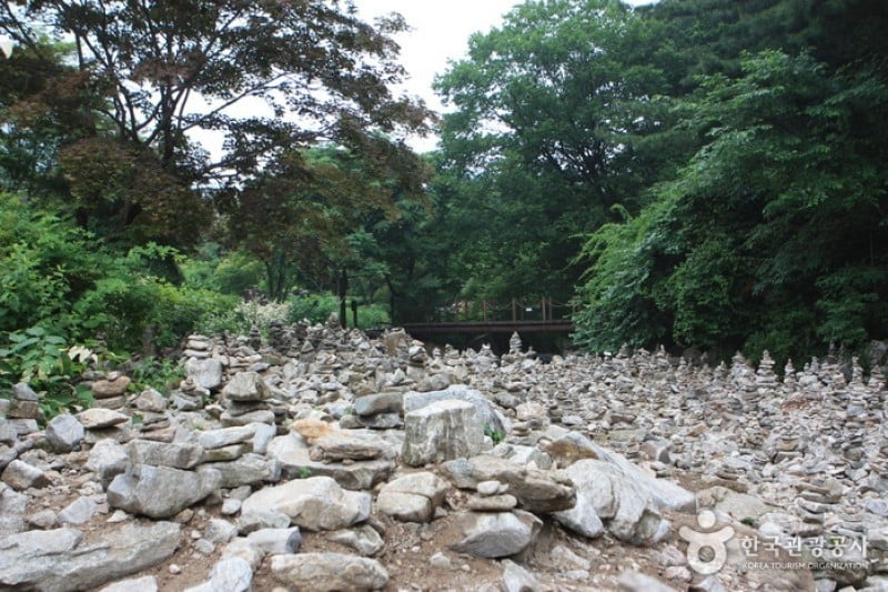 The Garden of Morning Calm  (30/54)