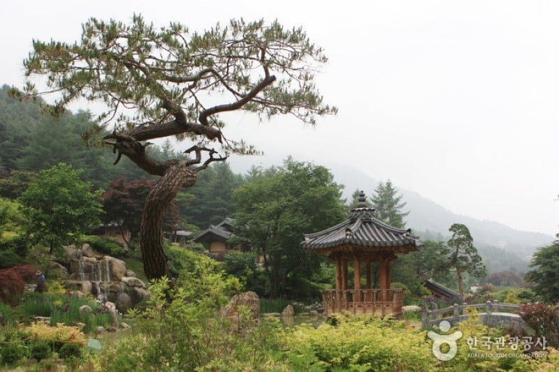 The Garden of Morning Calm  (33/54)