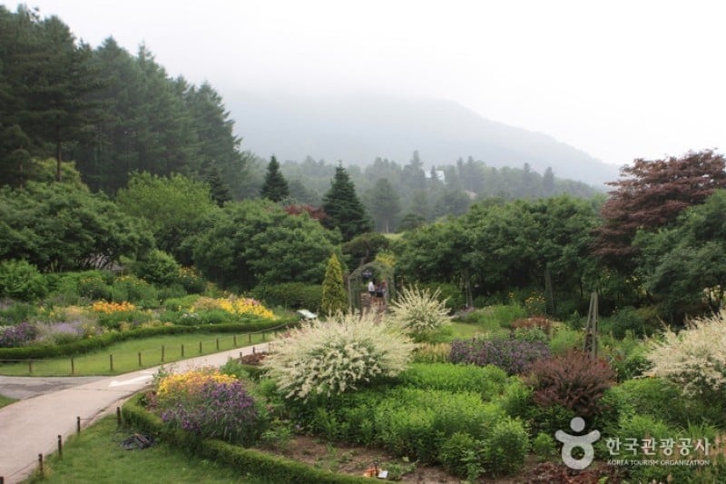 The Garden of Morning Calm  (35/54)