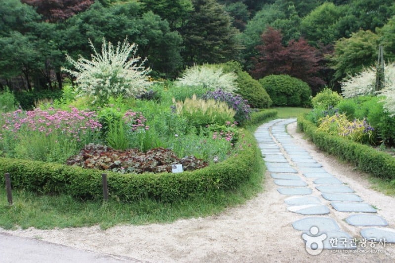 The Garden of Morning Calm  (37/54)