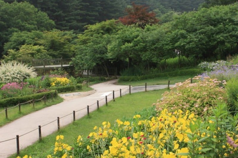 The Garden of Morning Calm  (38/54)