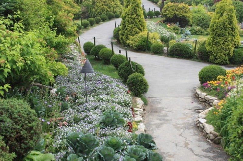 The Garden of Morning Calm  (39/54)