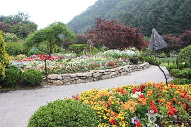 The Garden of Morning Calm  (40/54)