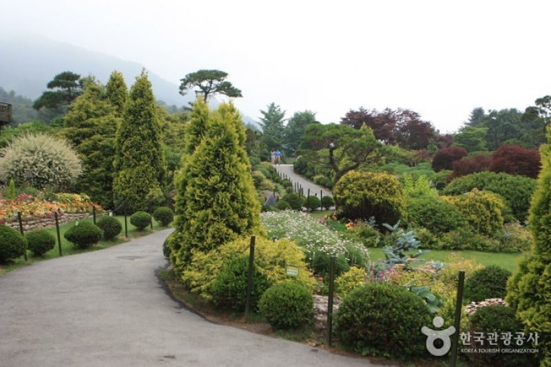 The Garden of Morning Calm  (41/54)