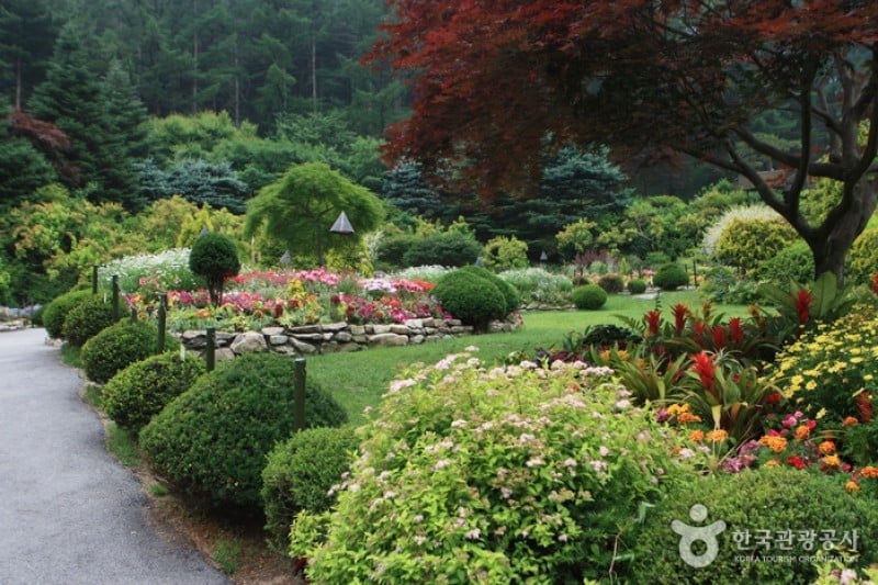 The Garden of Morning Calm  (42/54)