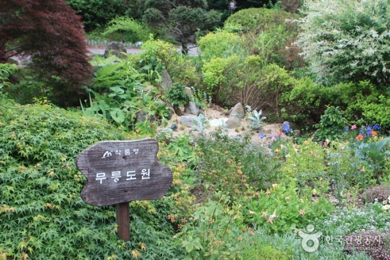 The Garden of Morning Calm  (43/54)