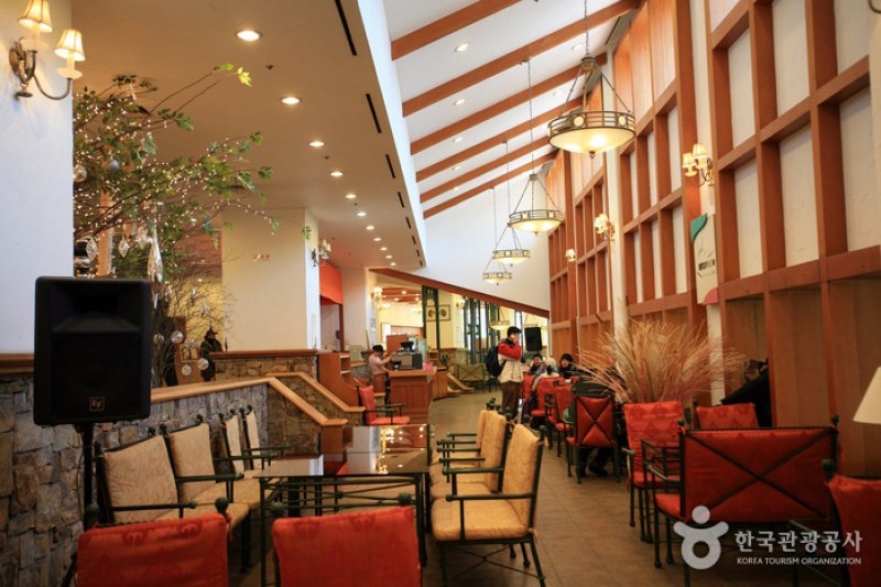 Yangji Pine Resort Ski Valley  (3/8)