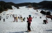 Yangji Pine Resort Ski Valley 