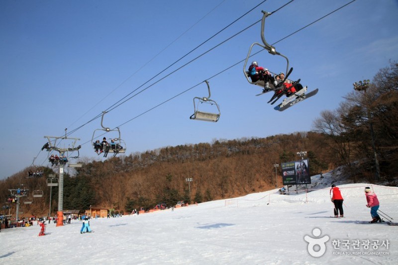 Yangji Pine Resort Ski Valley  (8/8)