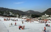Jisan Forest Ski Resort 