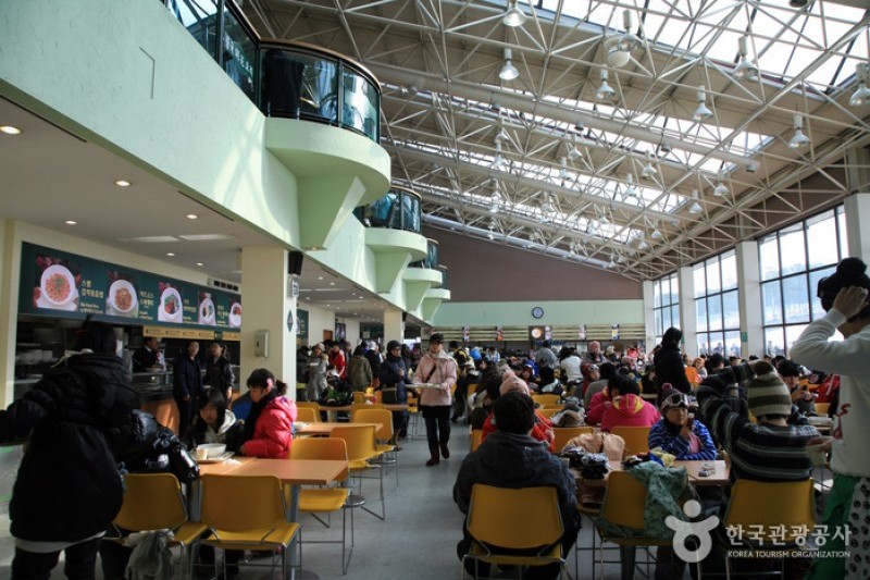 Jisan Forest Ski Resort  (2/6)