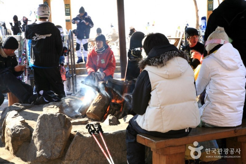 Jisan Forest Ski Resort  (3/6)