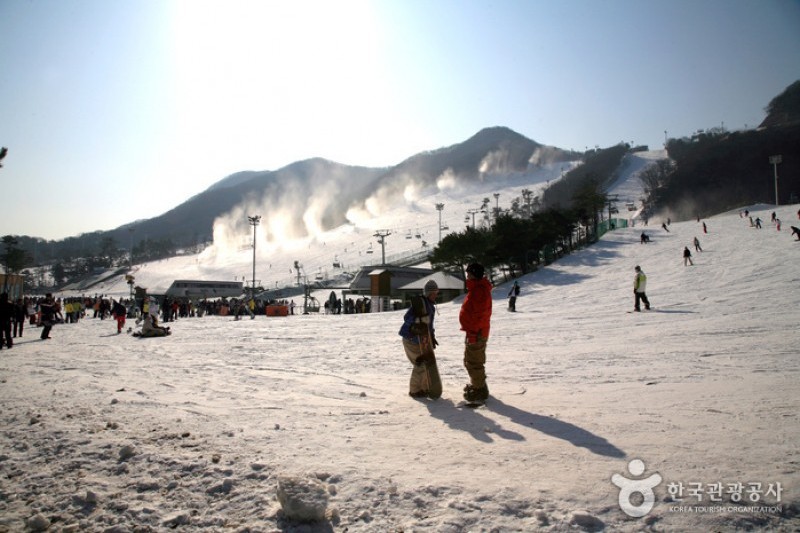 Jisan Forest Ski Resort  (4/6)
