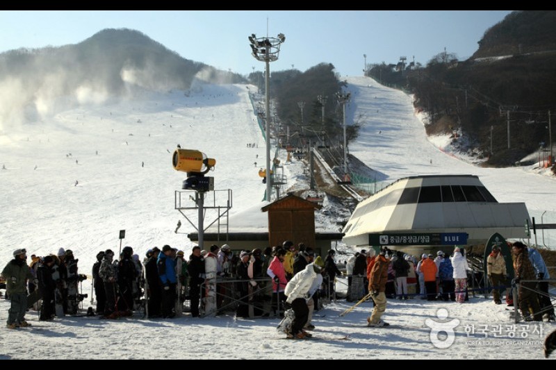Jisan Forest Ski Resort  (5/6)