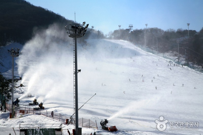 Jisan Forest Ski Resort  (6/6)