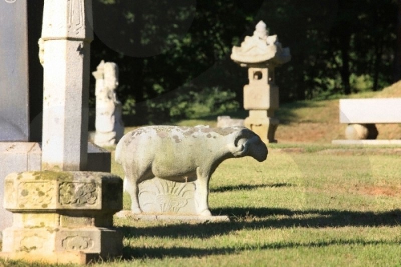 Seosamneung (Huireung, Hyoreung and Yereung) [UNESCO World Heritage] (10/21)