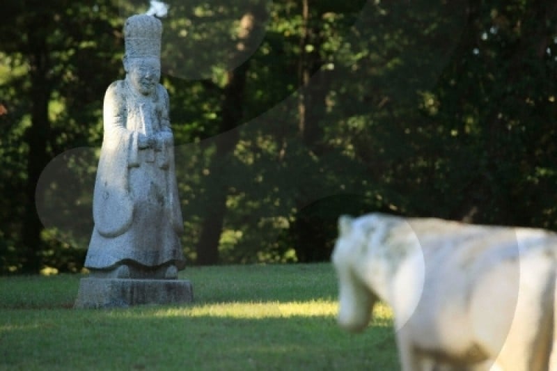 Seosamneung (Huireung, Hyoreung and Yereung) [UNESCO World Heritage] (11/21)