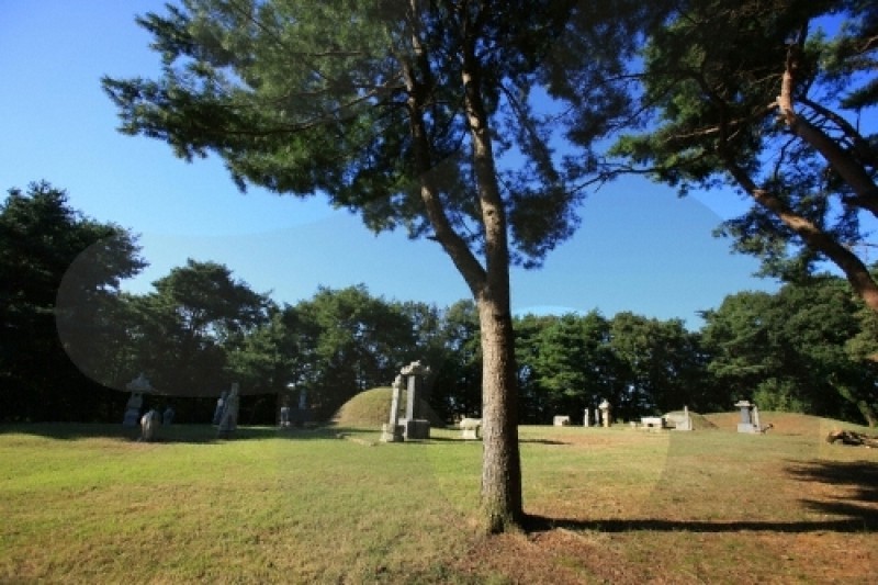 Seosamneung (Huireung, Hyoreung and Yereung) [UNESCO World Heritage] (14/21)