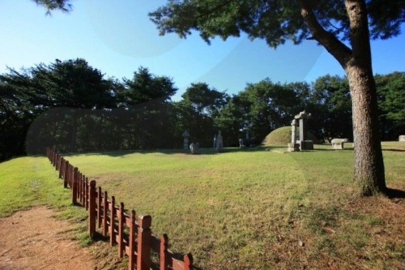 Seosamneung (Huireung, Hyoreung and Yereung) [UNESCO World Heritage] (15/21)