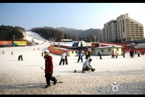 Bears Town Ski Resort 