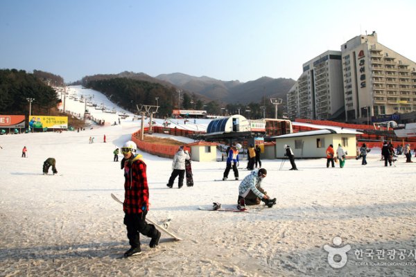 Bears Town Ski Resort