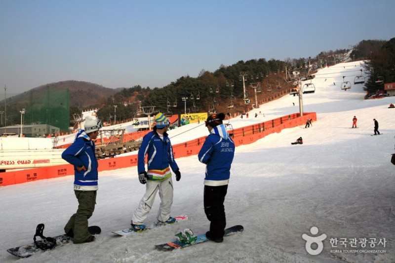 Bears Town Ski Resort  (9/10)