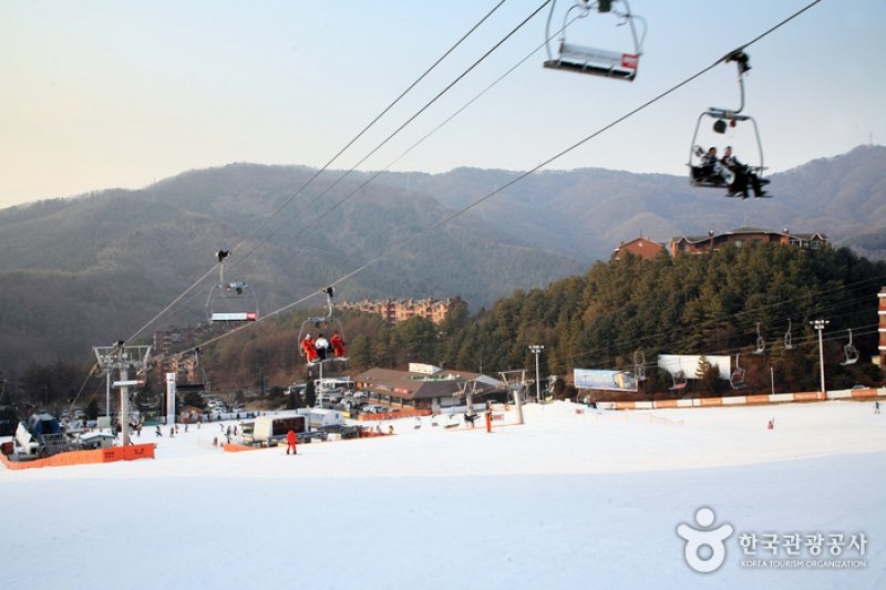 Bears Town Ski Resort  (10/10)