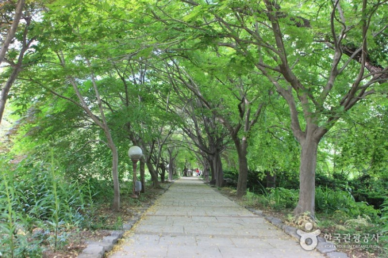 The Botanical Garden BCJ  (2/35)