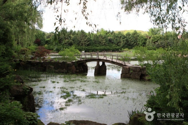 The Botanical Garden BCJ  (3/35)