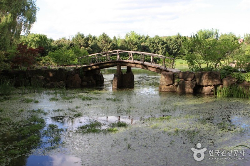 The Botanical Garden BCJ  (4/35)