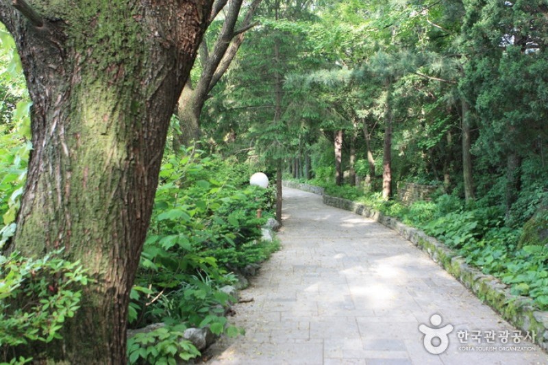 The Botanical Garden BCJ  (5/35)