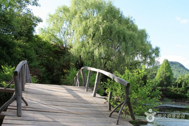 The Botanical Garden BCJ  (6/35)