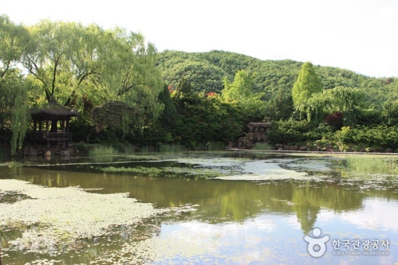 The Botanical Garden BCJ  (8/35)