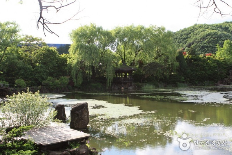 The Botanical Garden BCJ  (12/35)