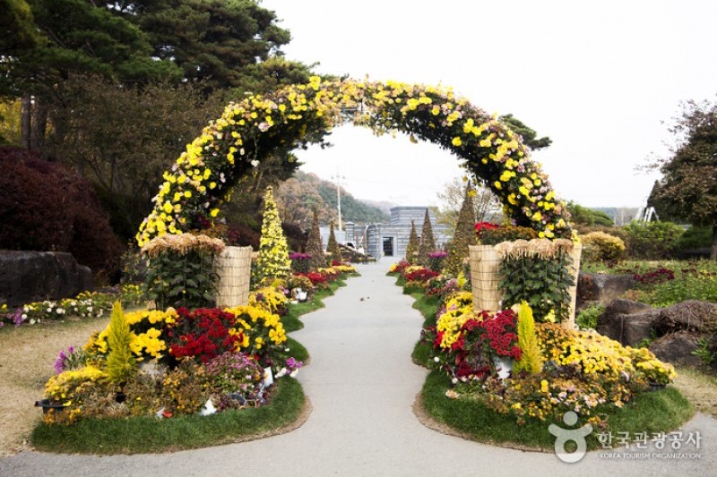 The Botanical Garden BCJ  (19/35)