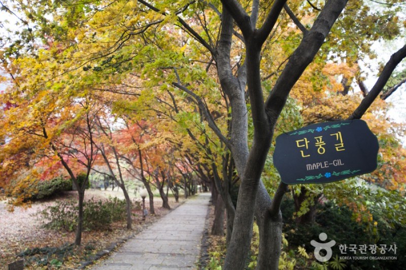The Botanical Garden BCJ  (20/35)