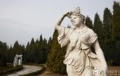 The Botanical Garden BCJ 