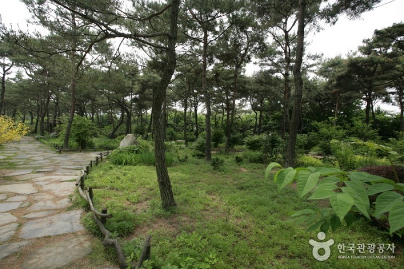 The Botanical Garden BCJ  (26/35)