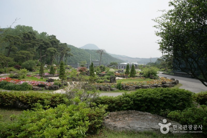 The Botanical Garden BCJ  (27/35)