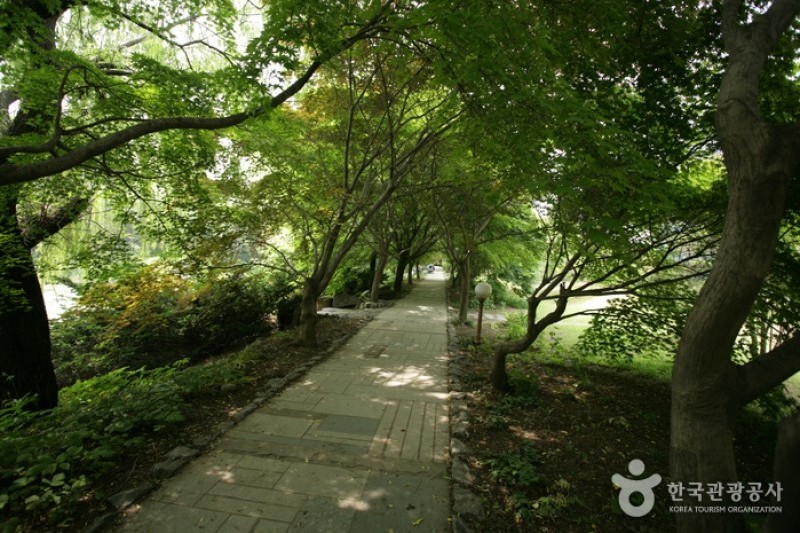 The Botanical Garden BCJ  (30/35)