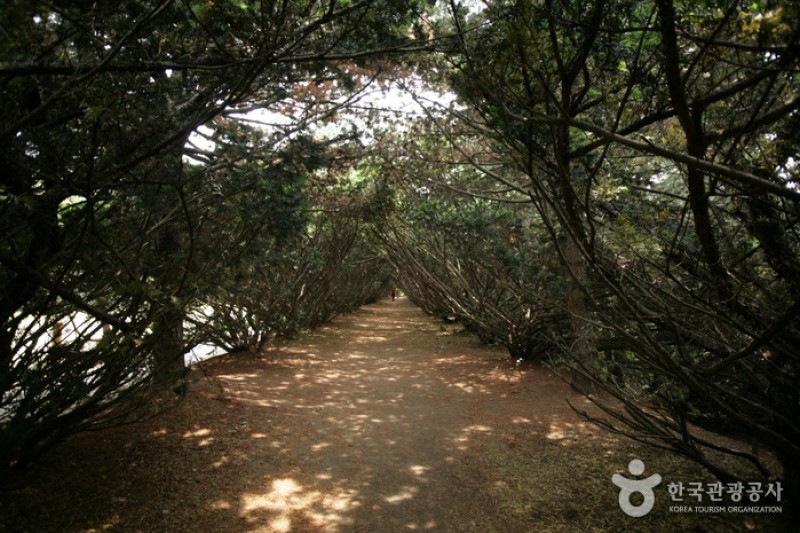 The Botanical Garden BCJ  (31/35)