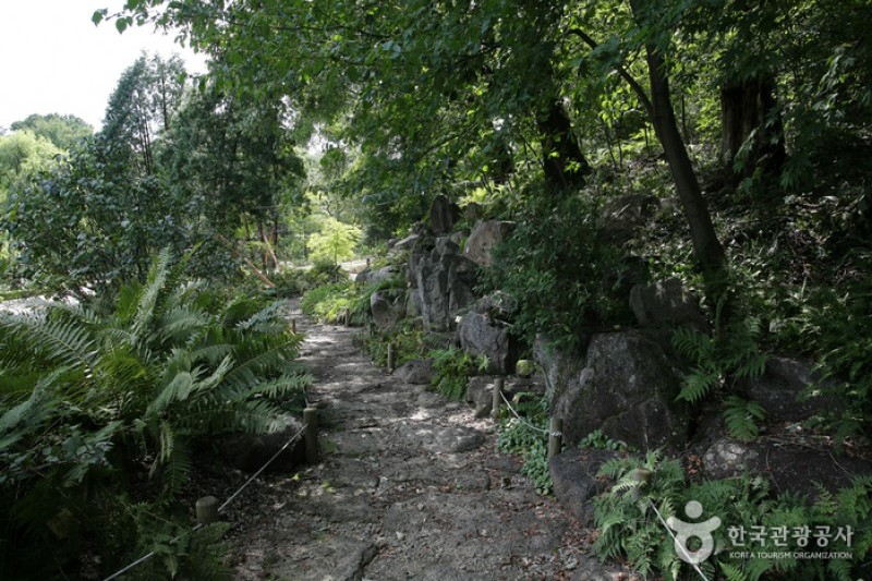 Korea National Arboretum and Forest Museum(Gwangneung Forest) (1/4)