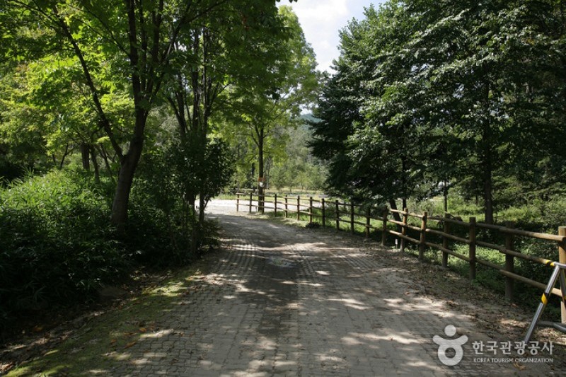Korea National Arboretum and Forest Museum(Gwangneung Forest) (2/4)