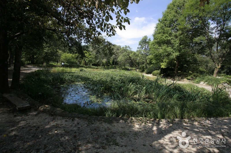 Korea National Arboretum and Forest Museum(Gwangneung Forest) (4/4)
