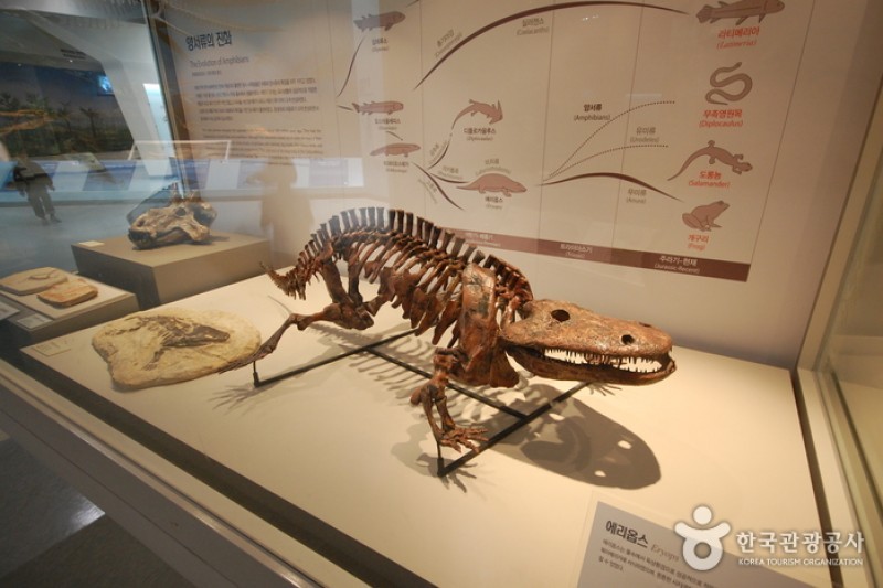 Gwacheon National Science Museum  (13/14)