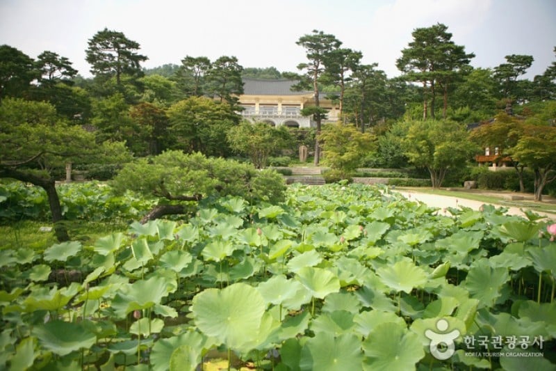 Ho-Am Art Museum  (8/20)