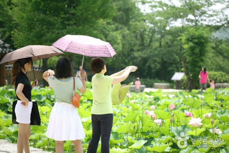Ho-Am Art Museum  (14/20)